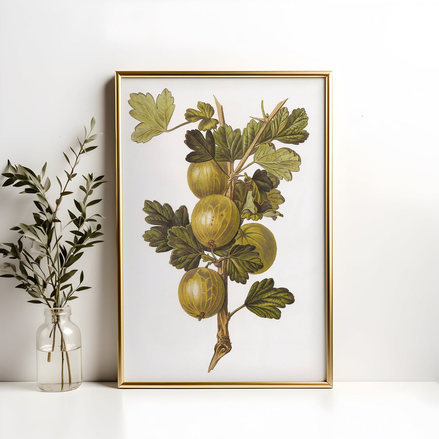 Botanical drawings, Augusta Withers - Gooseberry, original antique painting, oil vintage, Printable art instant download, SKU 173AIW