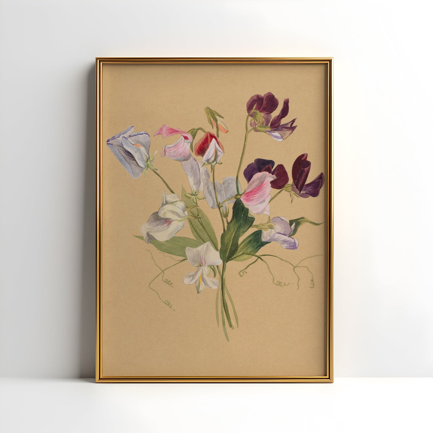 Flowers - Mary Vaux Walcott, original antique painting, watercolour, vintage, Printable art instant download, SKU  K-MVW84