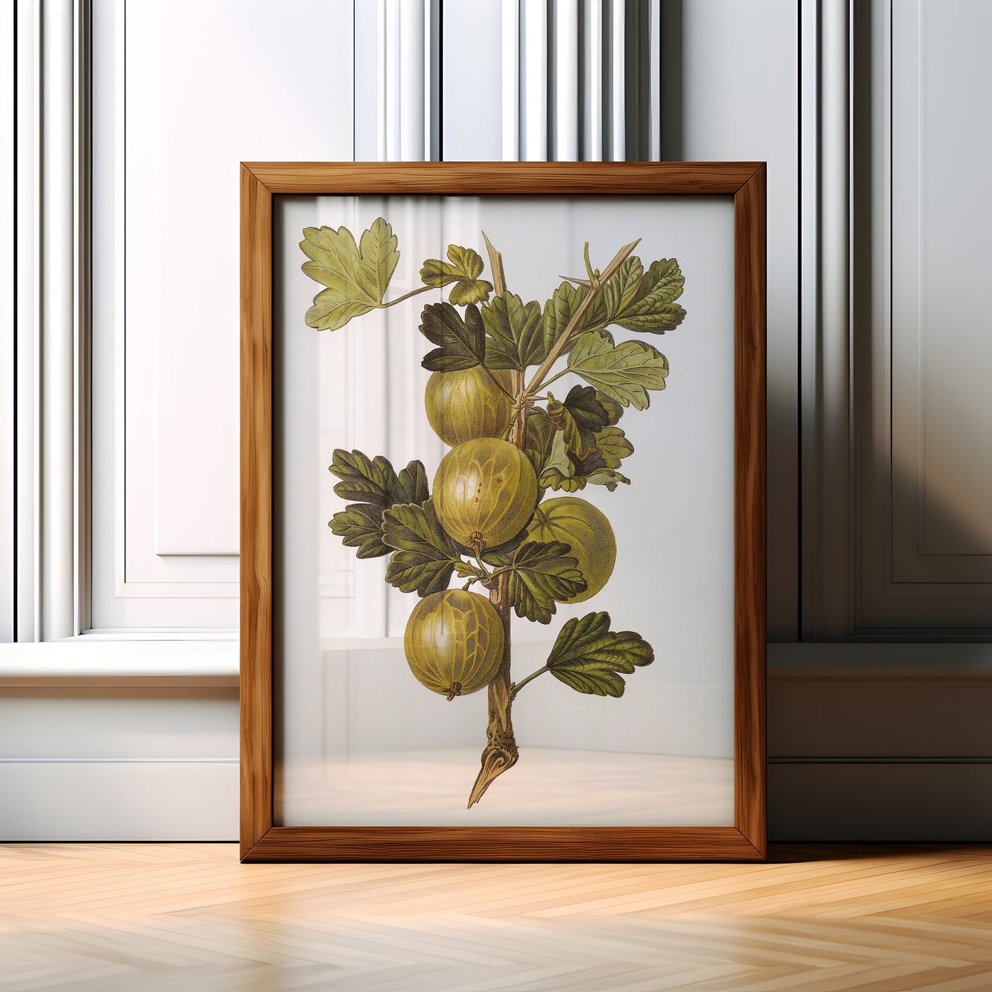 Botanical drawings, Augusta Withers - Gooseberry, original antique painting, oil vintage, Printable art instant download, SKU  173AIW