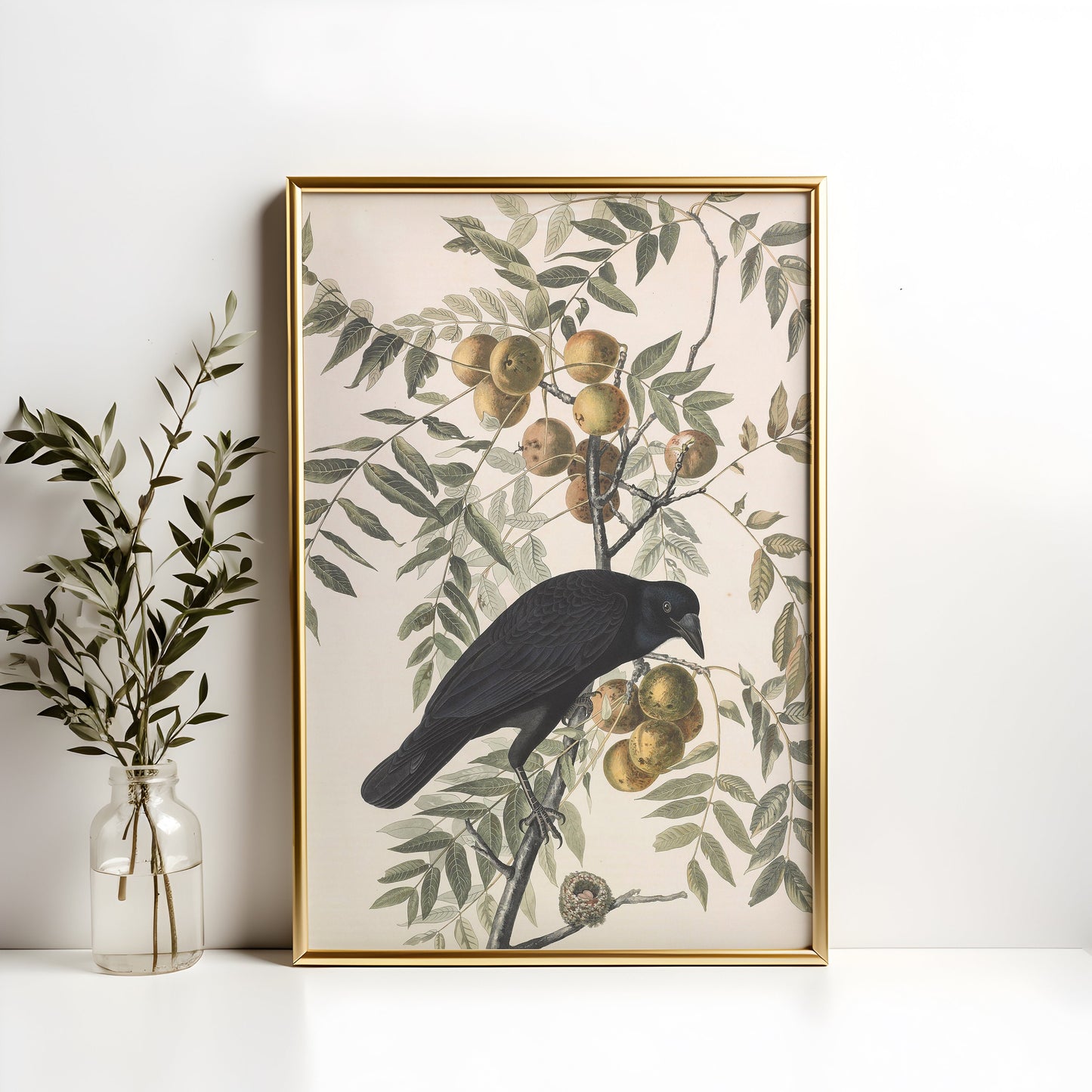 Birds, John James Audubon, American Crow, original antique painting watercolour, vintage, Printable art instant download,  SKU  K-JJA110