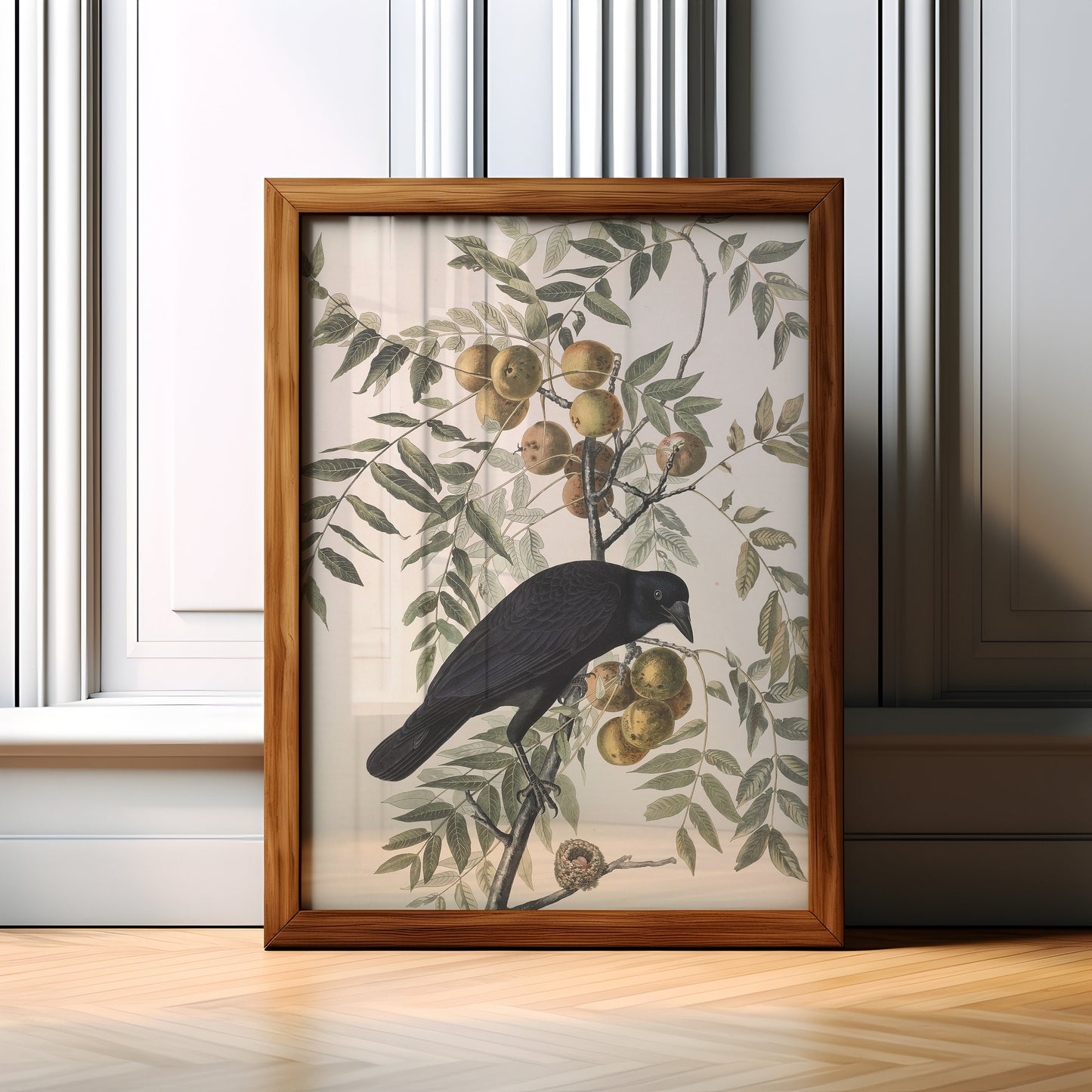 Birds, John James Audubon, American Crow, original antique painting watercolour, vintage, Printable art instant download,  SKU  K-JJA110