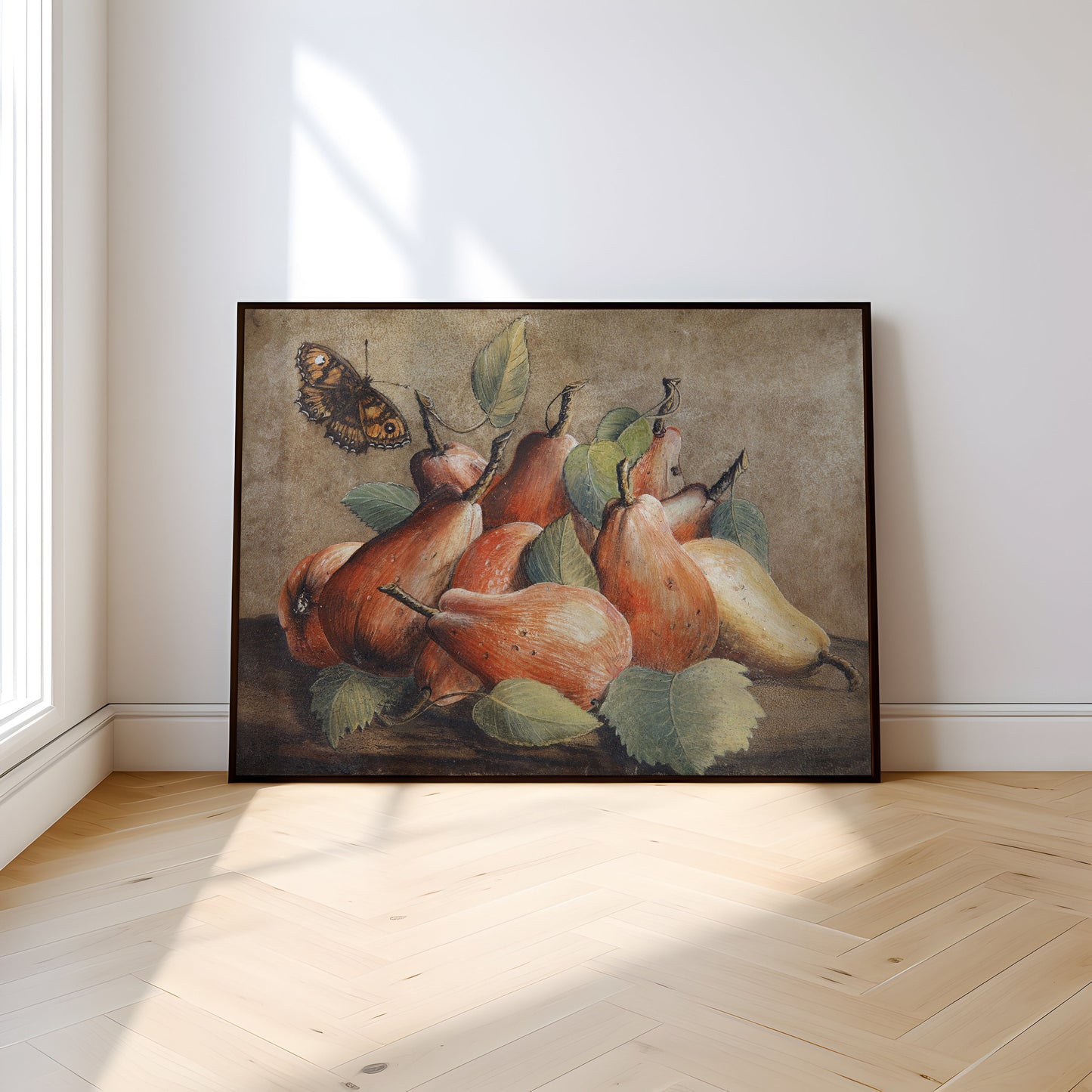 Giovanna Garzoni - Fruit Still-Life Pears and Butterfly, original antique fine art  vintage, Printable art  instant download, SKU  326GG