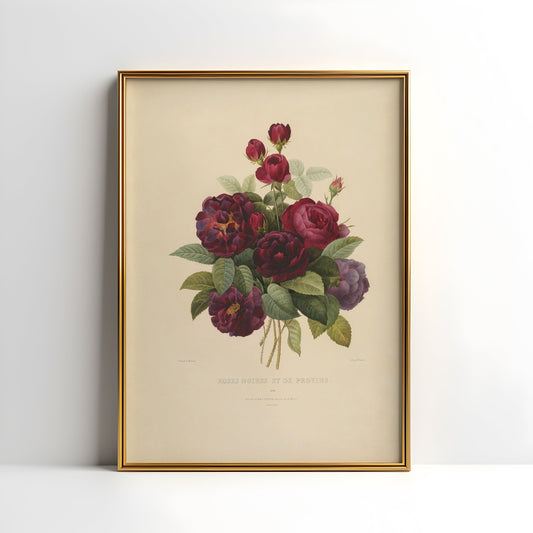 Flowers, Bouquet of roses - Pierre-Joseph Redoute, original antique fine art  vintage, Printable art  instant download, SKU  359PJR