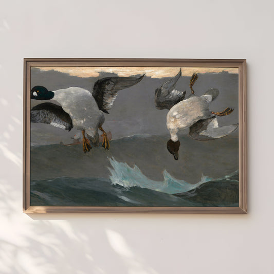 Winslow Homer - Ducks Goldeneye, 19th century, watercolour original vintage painting, antique Printable art instant download,  SKU  283WH