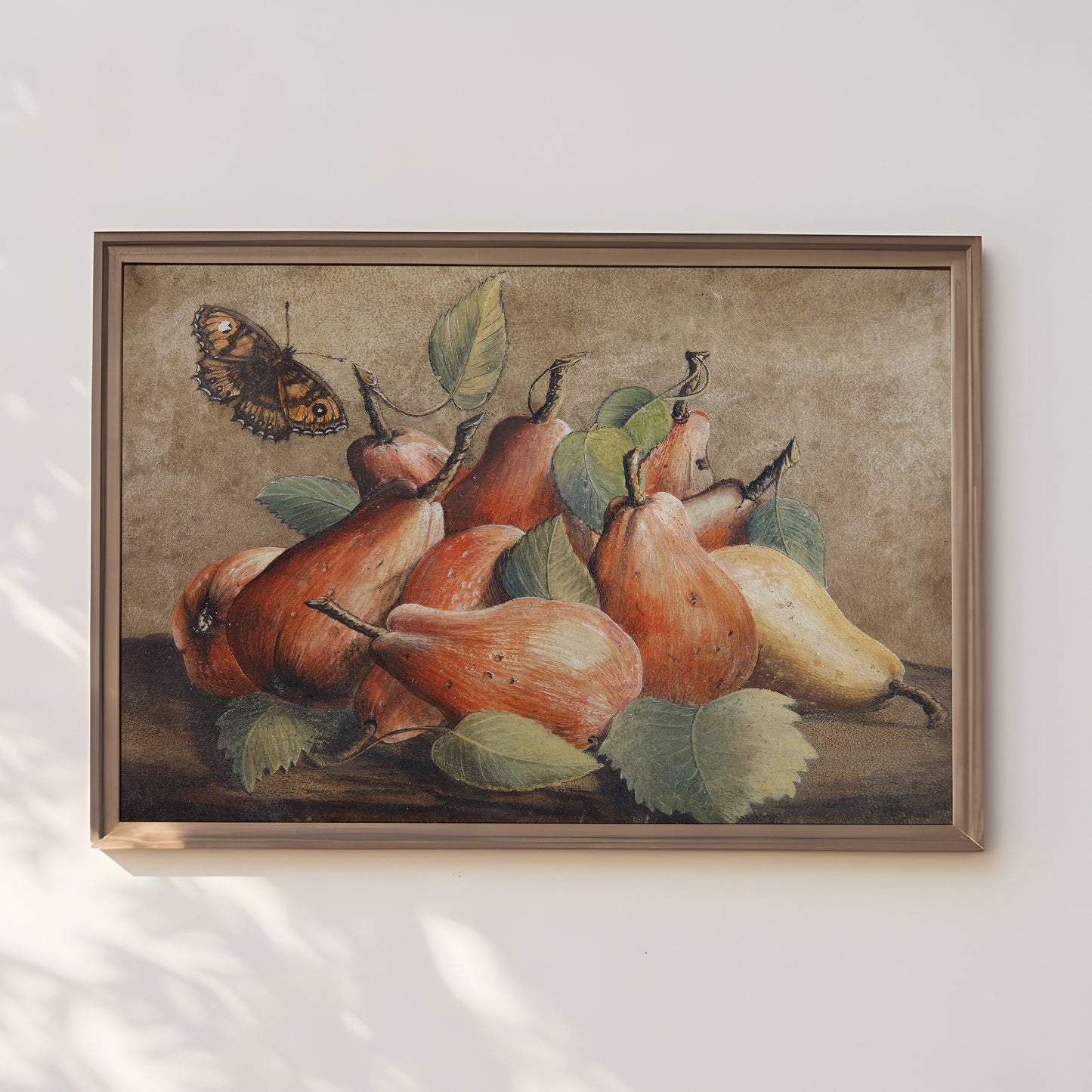 Giovanna Garzoni - Fruit Still-Life Pears and Butterfly, original antique fine art  vintage, Printable art  instant download, SKU  326GG