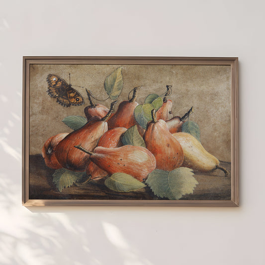 Giovanna Garzoni - Fruit Still-Life Pears and Butterfly, original antique fine art  vintage, Printable art  instant download, SKU  326GG